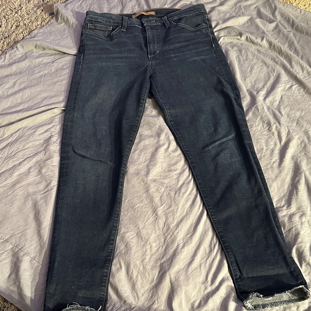 Joe's Jeans Blue Skinny Jeans